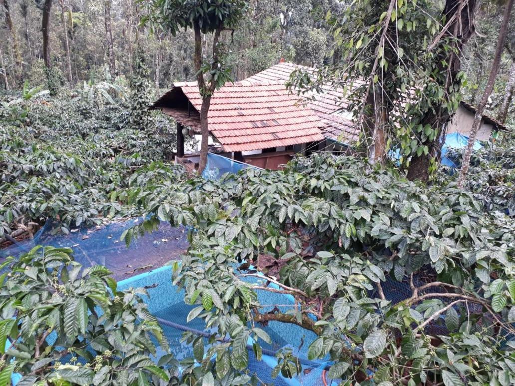 Durf Green Madikeri Kültér fotó