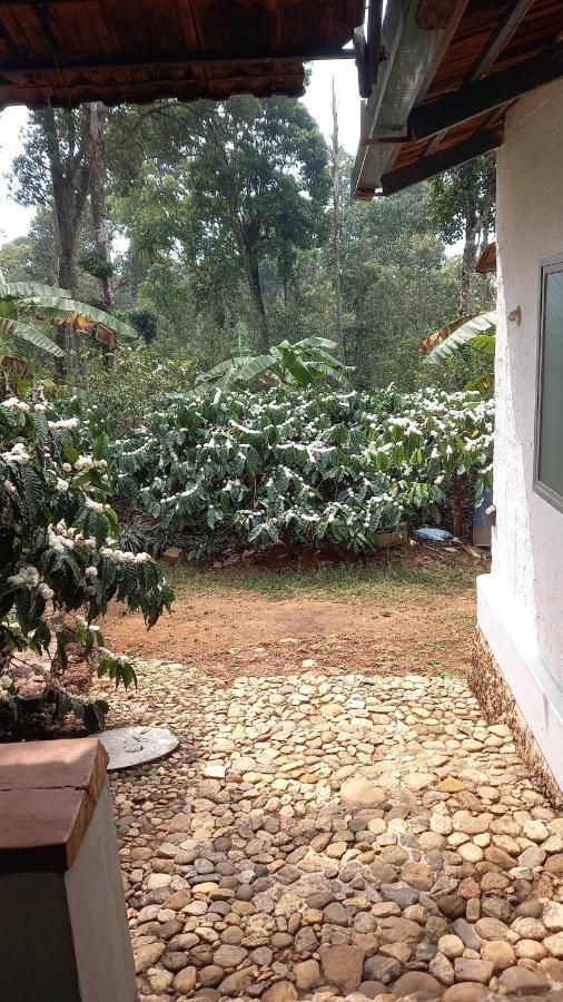 Durf Green Madikeri Kültér fotó